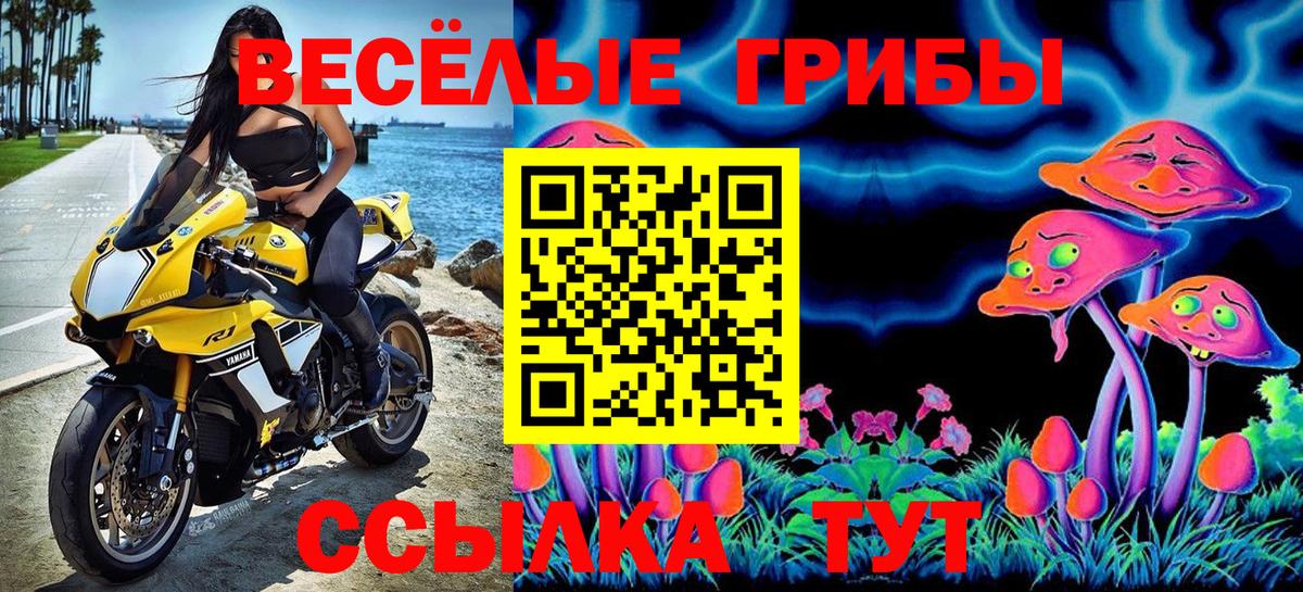 Кимовск  Галлюциногенные грибы Psilocybine cubensis  Вход с VPN 