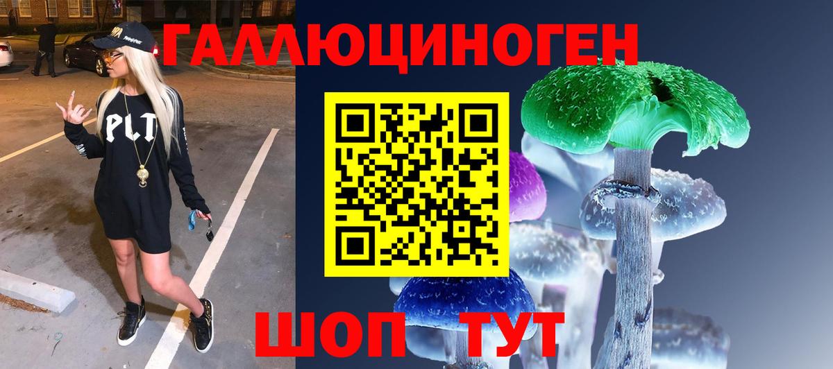Псилоцибиновые грибы Psilocybe Кимовск